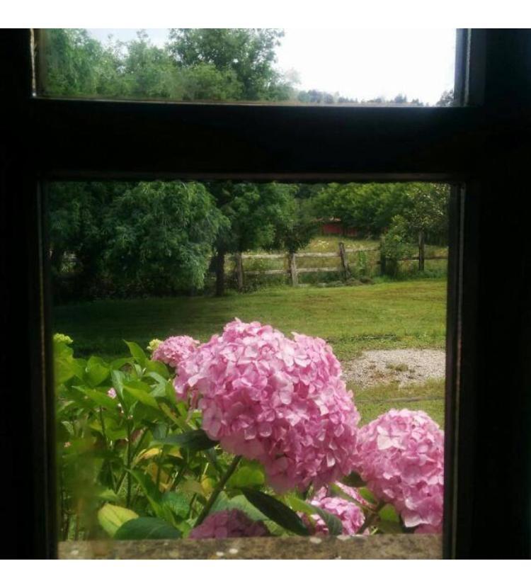 Casa Rural El Pozo Tremeo Sona Bagian luar foto
